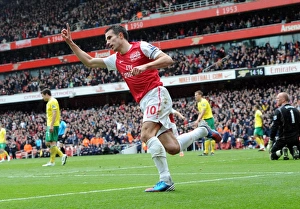 Arsenal v Norwich City 2011-12 Gallery: Robin van Persie celebrates scoring his 1st goal for Arsenal. Arsenal 3: 3 Norwich City