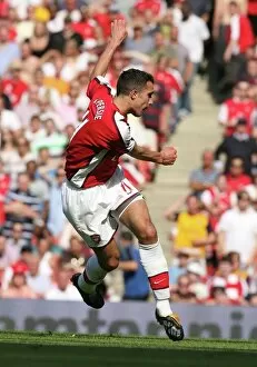 Arsenal v Stoke City 2008-09 Collection: Robin van Persie scores his 2nd Arsenal goal