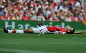 Arsenal V Portsmouth 2009-10 Prints: Robin van Persie's Brilliant Performance: Arsenal 4-1 Portsmouth, Premier League, 2009