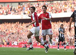 Robin van Persie's Double Strike: Arsenal's Dominant 3:0 Victory Over Newcastle (Fabregas Celebrates)