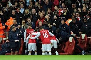 Images Dated 10th December 2011: Robin van Persie's Goal Celebration: Arsenal vs. Everton, Premier League 2011-12