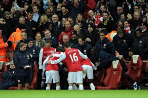 Robin van Persie's Goal Celebration: Arsenal vs. Everton, Premier League 2011-12