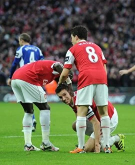 Images Dated 27th February 2011: Robin van Persie's Heartbreaking Injury: Arsenal's Defeat in Carling Cup Final vs Birmingham City