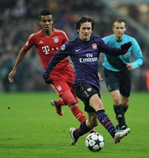Bayern Munich Collection: Rosicky vs Gustavo: A Battle in the UEFA Champions League Between Bayern Munich and Arsenal FC