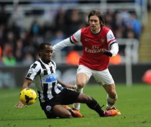 Newcastle United Collection: Rosicky's Intense Battle: Newcastle United vs Arsenal (2013-14)