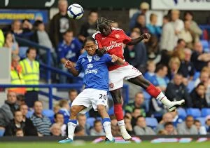 Bacary Sagna Collection: Sagna's Dominance: Arsenal's 6-1 Victory over Everton with Bacary Sagna and Steven Pienaar
