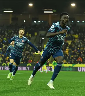 Saka's Premier League Debut Goal: Arsenal's Victory over Norwich City