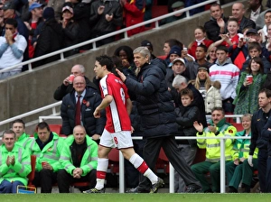 Samir Nasri celebrates scoring his and Arsenals 2nd