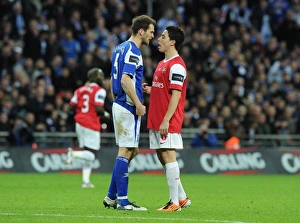 Samir Nasri vs. Roger Johnson: Birmingham City Stuns Arsenal in Carling Cup Final