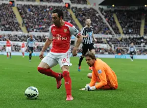Newcastle United V Arseal 2014/15 Prints: Santi Cazorla Dashes Past Newcastle's Tim Krul: Arsenal vs Newcastle United