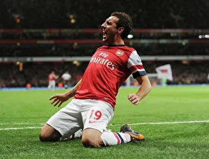 Santi Cazorla's Goal: Arsenal vs. Liverpool, Premier League 2013-14