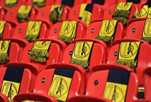 Sea of Scarves: Arsenal's Dominance at the FA Cup Final, Wembley Stadium (2015)