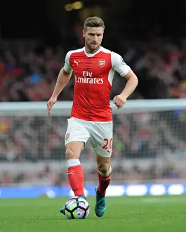 Arsenal V Middlesbrough 2016-17 Prints: Shkodran Mustafi Focuses in Arsenal's Victory Against Middlesbrough (2016-17)