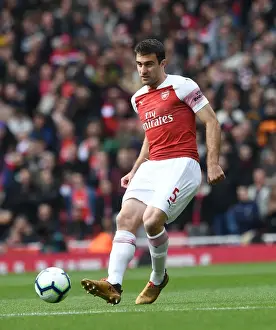 Sokratis in Action: Arsenal vs Brighton & Hove Albion, Premier League 2018-19