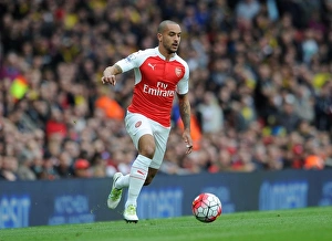 Theo Walcott in Action: Arsenal vs. Watford, Premier League 2015-16