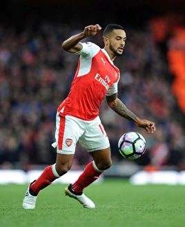 Theo Walcott in Action: Arsenal vs Middlesbrough, Premier League 2016-17