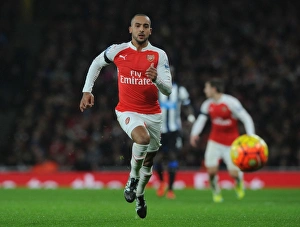 Theo Walcott in Action: Arsenal vs Newcastle United, Premier League 2015-16