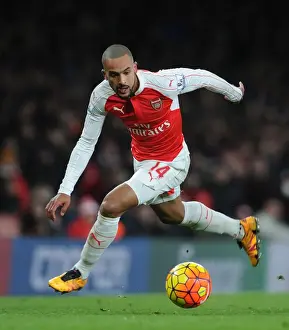 Theo Walcott in Action: Arsenal vs Swansea City (Premier League 2015-16) - Emirates Stadium