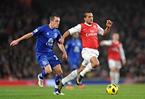 Images Dated 1st February 2011: Theo Walcott (Arsenal) Leon Osman (Everton). Arsenal 2: 1 Everton. Barclays Premier League