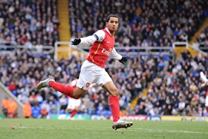 Images Dated 24th February 2008: Theo Walcott celebrates scoring the 2nd Arsenal goal