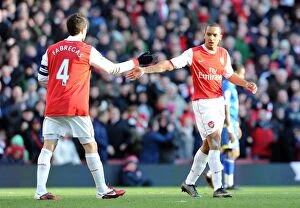 Images Dated 8th January 2011: Theo Walcott and Cesc Fabregas (Arsenal). Arsenal 1: 1 Leeds United, FA Cup 3rd Round