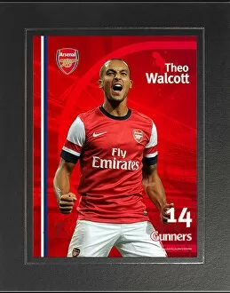 Images Dated 6th September 2013: Theo Walcott Photograph in Strut Mount