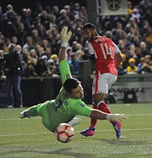 Sutton United V Arsenal 2016-17 Prints: Theo Walcott Scores Shock Goal: Sutton United vs. Arsenal, Emirates FA Cup Fifth Round