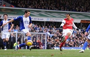 Images Dated 24th February 2008: Theo Walcott shoots past Maik Taylor to score the 2nd Arsenal goal