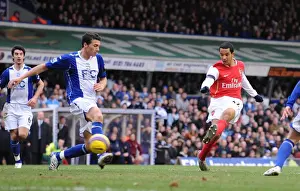Theo Walcott shoots past Maik Taylor to score the 2nd Arsenal goal