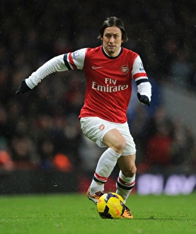 Tomas Rosicky: In Action for Arsenal Against Cardiff City, Premier League 2013-14