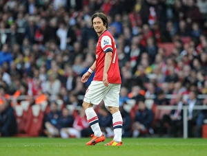 Arsenal V Manchester City 2013/14 Prints: Tomas Rosicky in Action: Arsenal vs Manchester City, Premier League 2013-2014