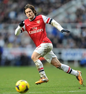 Newcastle United V Arsenal 2013-14 Prints: Tomas Rosicky in Action: Newcastle United vs. Arsenal, Premier League 2013-14