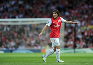 Arsenal V Udinese 2011-12 Prints: Tomas Rosicky (Arsenal). Arsenal 1: 0 Udinese