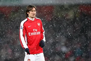 Arsenal v Everton 2009-10 Gallery: Tomas Rosicky (Arsenal). Arsenal 2: 2 Everton. Barclays Premier League. Emirates Stadium