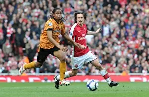 Arsenal v Wolverhampton Wanderers 2009-10 Collection: Tomas Rosicky (Arsenal) Michael Mancienne (Wolves). Arsenal 1: 0 Wolverhampton Wanderers