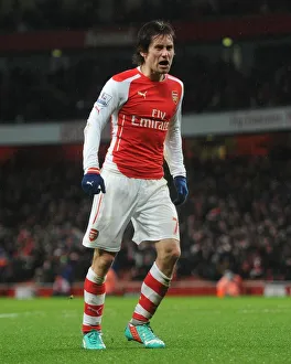 Arsenal V Queens Park Rangers 2014-15 Prints: Tomas Rosicky Scores Arsenal's Second Goal vs. Queens Park Rangers (2014-15)