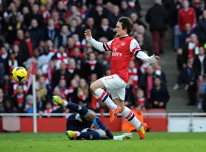 Tomas Rosicky Scores Stunner: Arsenal's 3rd vs Sunderland (2013-14)
