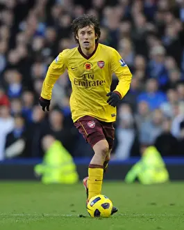 Everton V Arsenal 2010-11 Prints: Tomas Rosicky Scores the Winning Goal: Arsenal 2-1 Everton, Premier League 2010-11