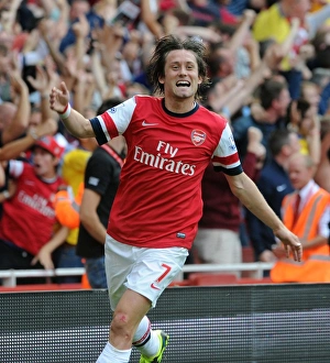 Tomas Rosicky's Goal Celebration: Arsenal vs. Tottenham, Premier League 2013-14