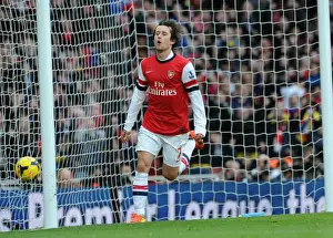 Tomas Rosicky's Stunner: Arsenal's Triumph Over Sunderland (2013-14)