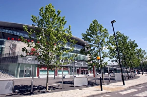 Trees on the street outside the stadium