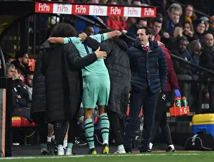 Unai Emery Celebrates Aubameyang's Goal: Arsenal's Victory at Watford (2018-19)