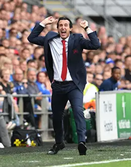 Unai Emery Leads Arsenal in Premier League Clash against Cardiff City (2018-19)
