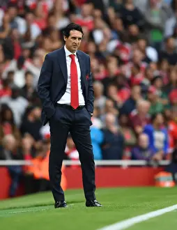 Unai Emery's Determination: Arsenal vs Manchester City (2018-19)