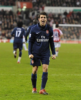 Unforgettable Moment: Cesc Fabregas's Brilliant Goal - Arsenal's 3-1 Victory over Stoke City (Barclays Premier League, 2010)