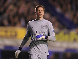 Everton V Arsenal 2011-12 Prints: Unyielding Guardian: Wojciech Szczesny's Brave Performance at Goodison Park (Everton vs Arsenal 2011-12)