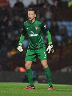 Unyielding Guardian: Wojciech Szczesny's Heroic Performance at Villa Park (Aston Villa vs Arsenal 2012-13)
