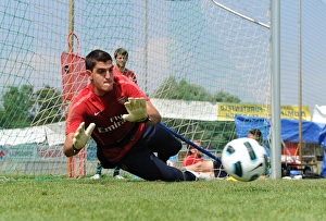 Images Dated 23rd July 2010: Vito Mannone (Arsenal). Arsenal Training Camp, Bad Waltersdorf, Austria, 23 / 7 / 2010