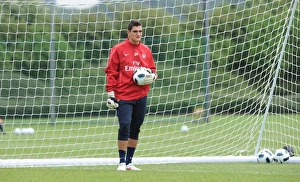 Images Dated 7th July 2010: Vito Mannone (Arsenal). Arsenal Training Ground, London Colney, Hertfordshire, 7 / 7 / 2010