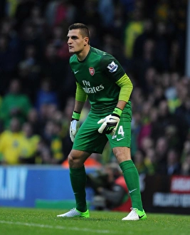 Norwich City V Arsenal 2012-13 Prints: Vito Mannone: Arsenal's Defiant Goalkeeper vs. Norwich City (2012-13)